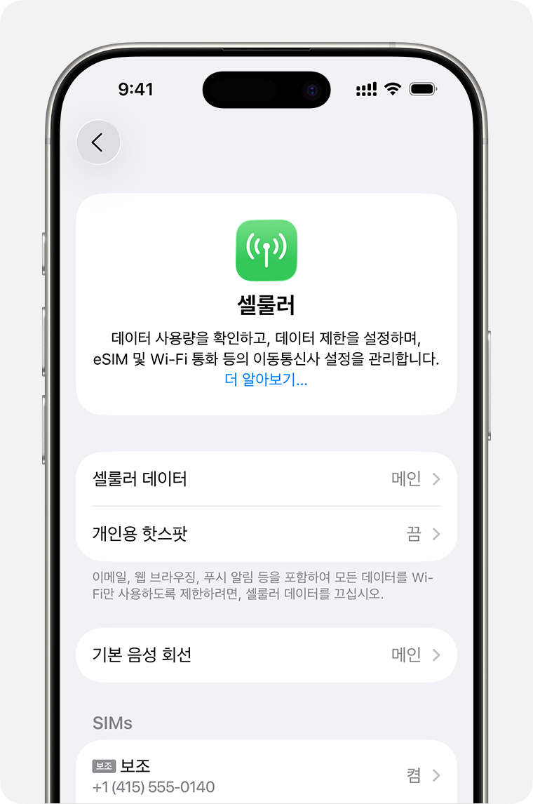 셀룰러 설정 아래 SIMs 영역의 사용 중인 회선 위치